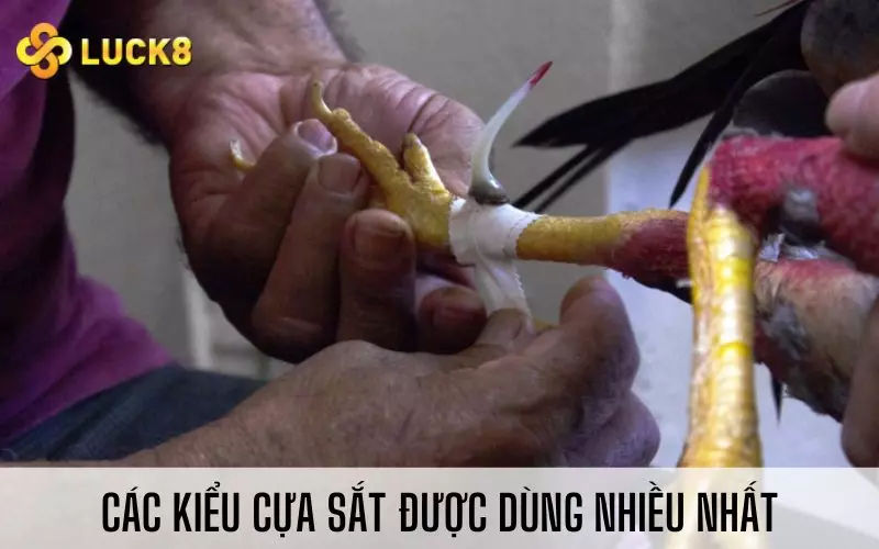 Các kiểu cựa sắt được dùng nhiều nhất