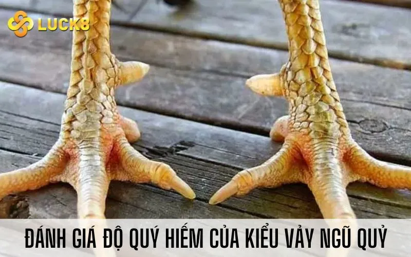 Đánh giá độ quý hiếm của kiểu vảy ngũ quỷ